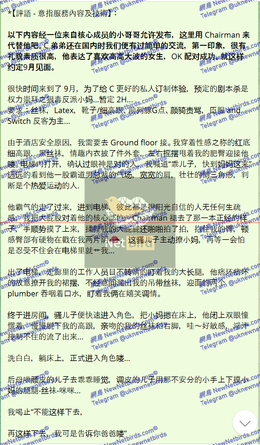 戰號 463 2.png